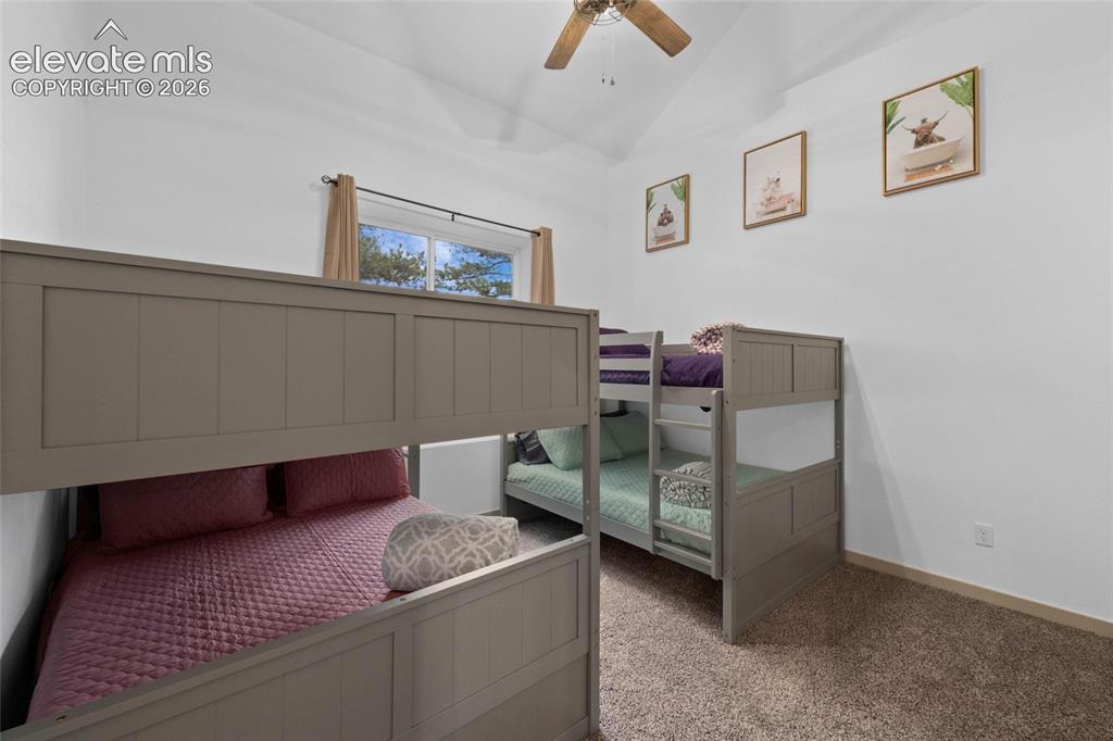 526 Irwin Drive Florissant CO 80816