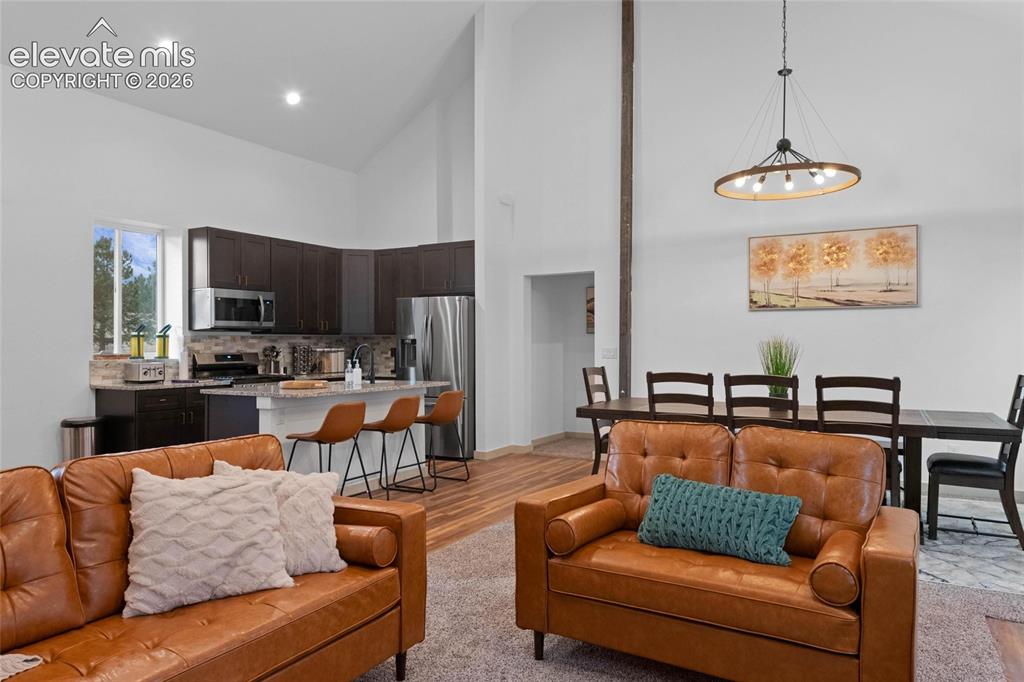 526 Irwin Drive Florissant CO 80816