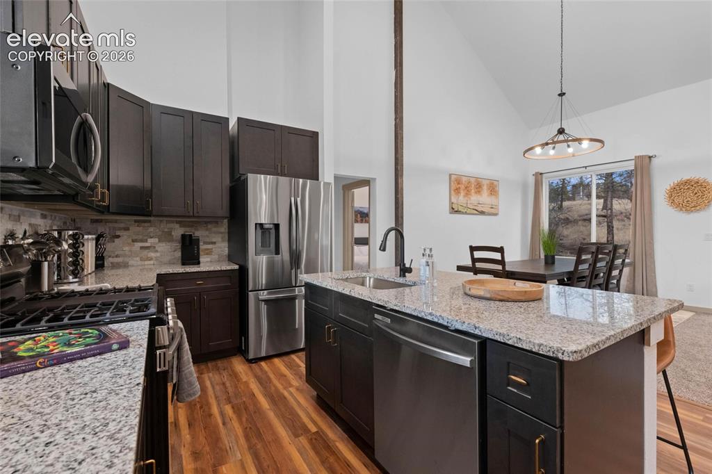 526 Irwin Drive Florissant CO 80816