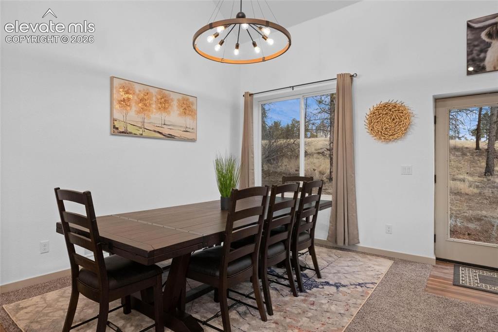 526 Irwin Drive Florissant CO 80816