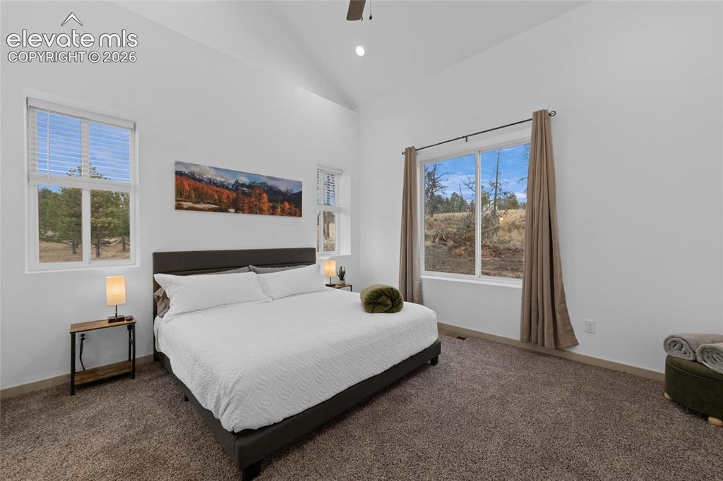526 Irwin Drive Florissant CO 80816