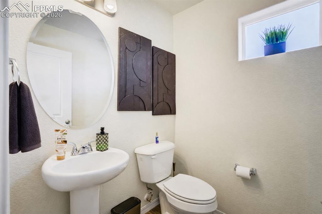 7732 Carabiner View Colorado Springs CO 80923