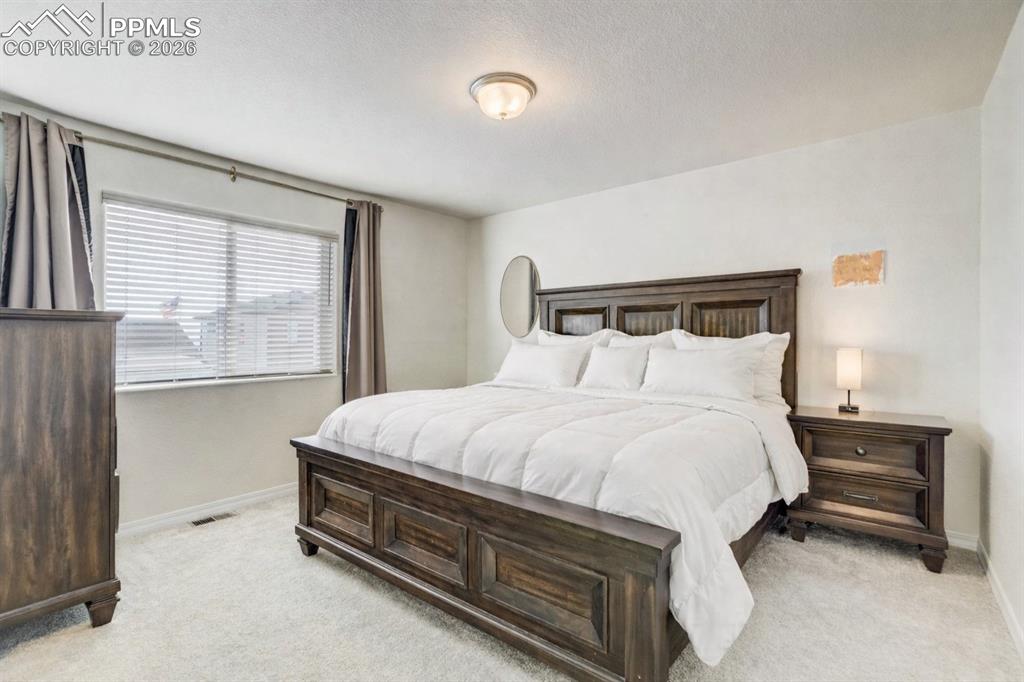 7732 Carabiner View Colorado Springs CO 80923