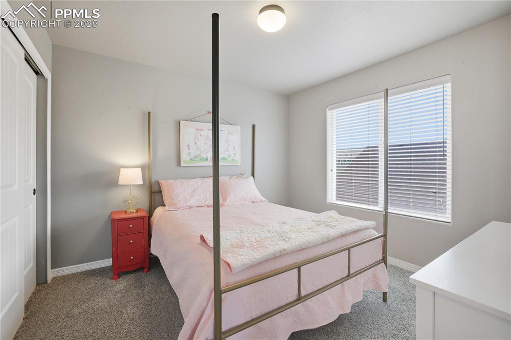 7718 Wagonwood Place Colorado Springs CO 80908