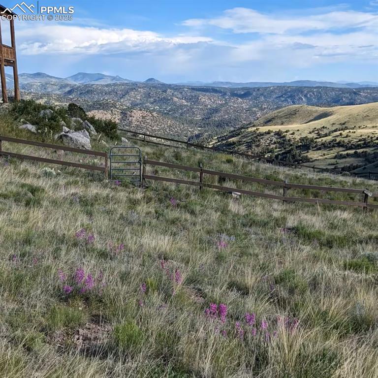 1160 Diamond Back Trail Canon City CO 81212