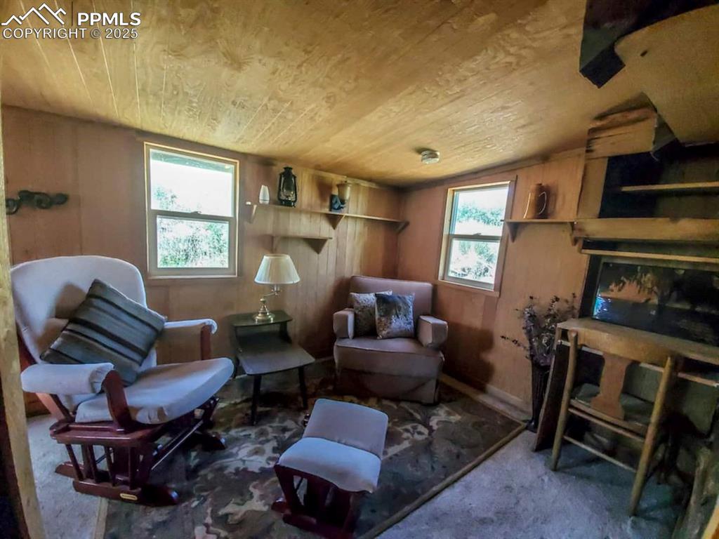 1160 Diamond Back Trail Canon City CO 81212