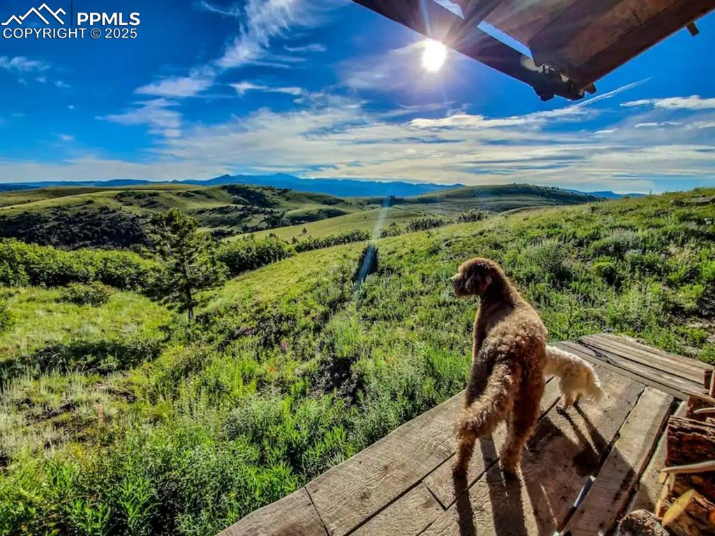 1160 Diamond Back Trail Canon City CO 81212