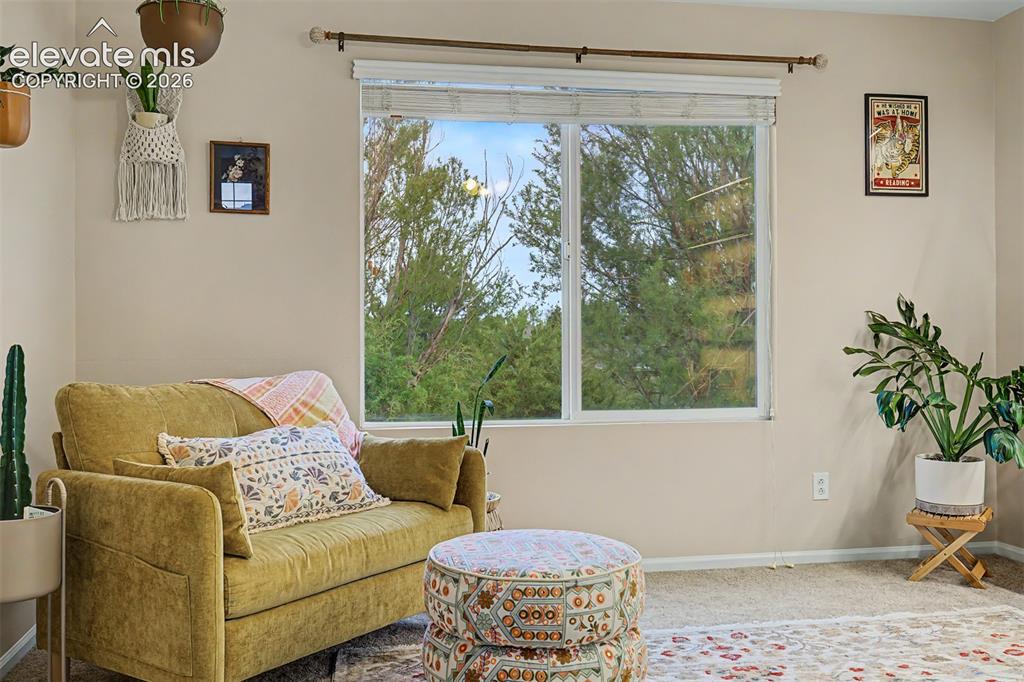 7240 Mcewan Street Colorado Springs CO 80922