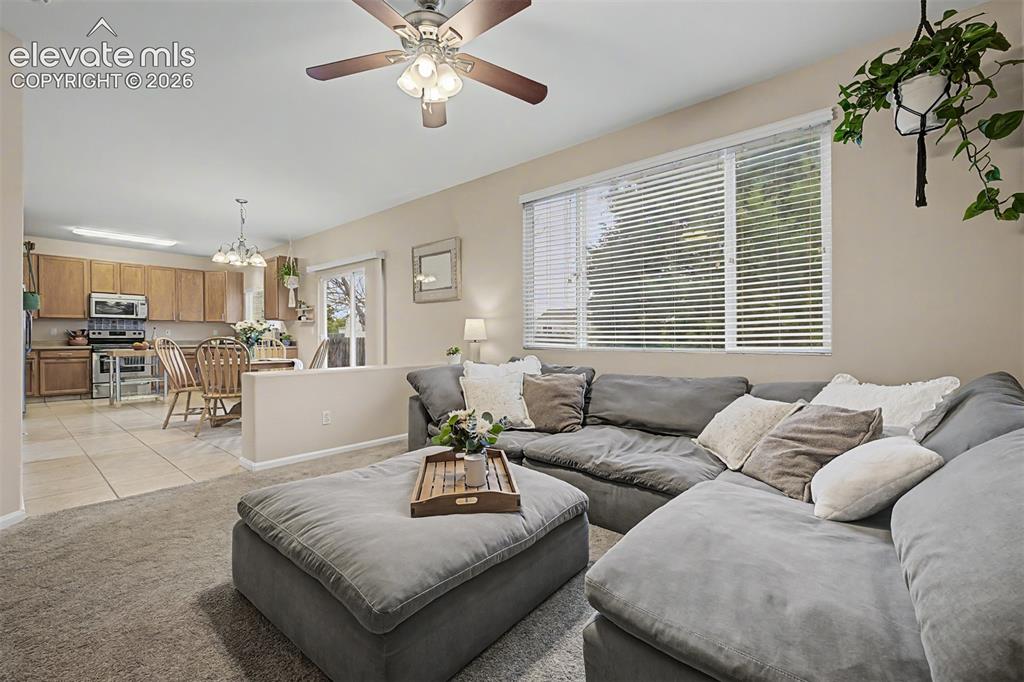 7240 Mcewan Street Colorado Springs CO 80922
