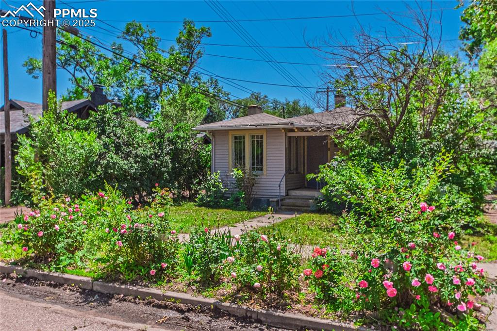 215 E Washington Street Colorado Springs CO 80907