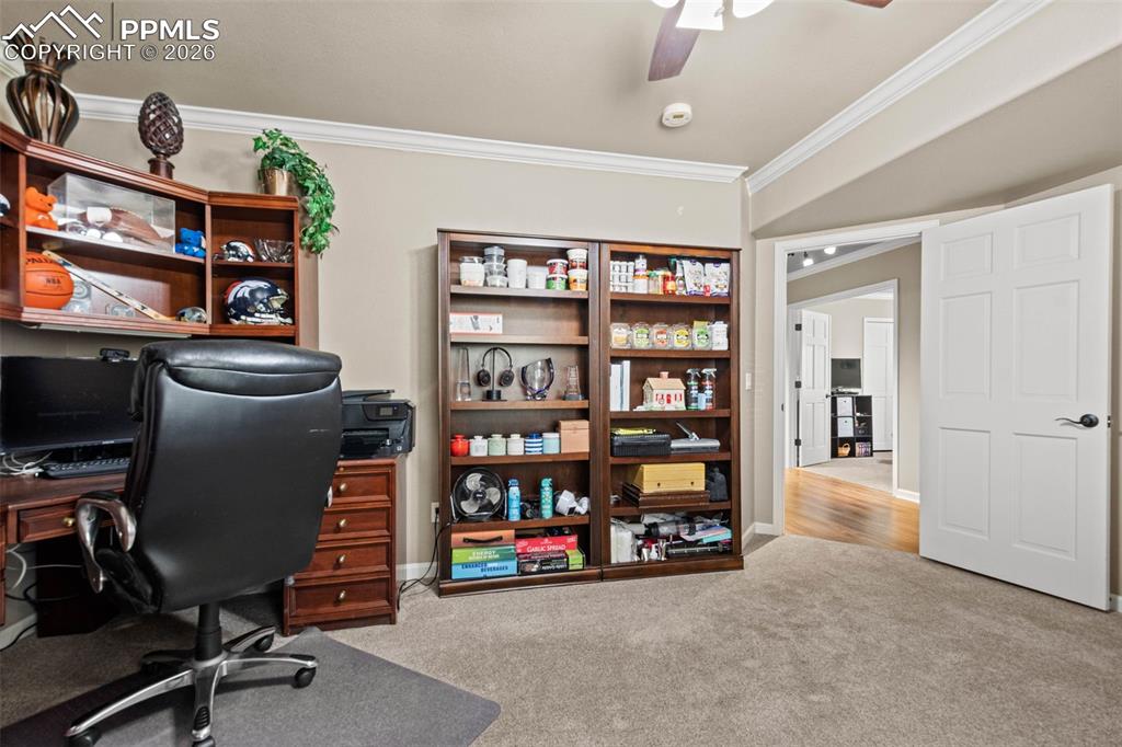 7524 Engineers Court Larkspur CO 80118