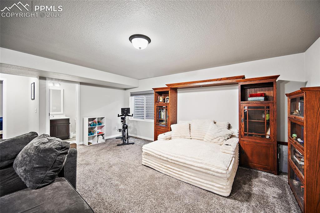 7702 Berwyn Loop Peyton CO 80831