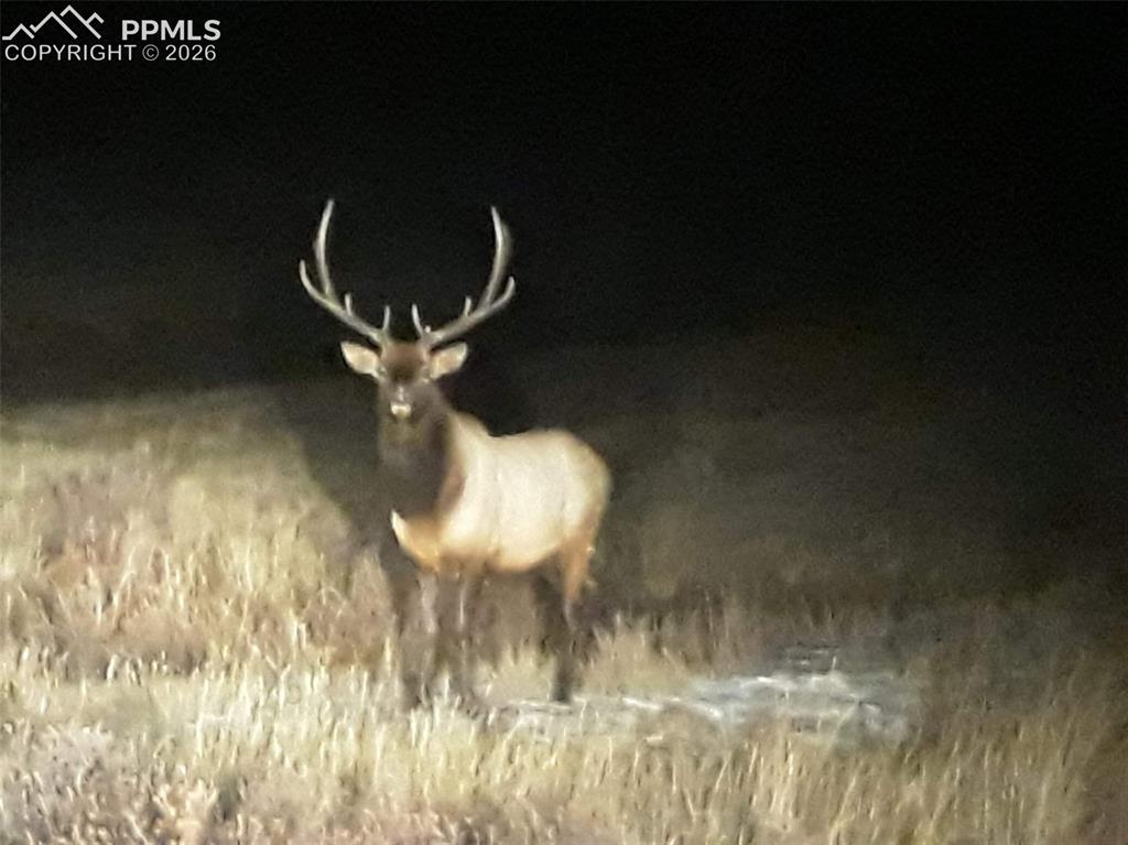 7260 Remington Road Como CO 80432