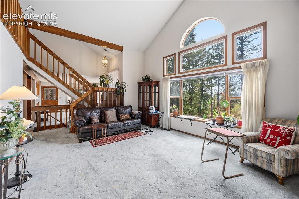 1241 Forest Edge Road Woodland Park CO 80863