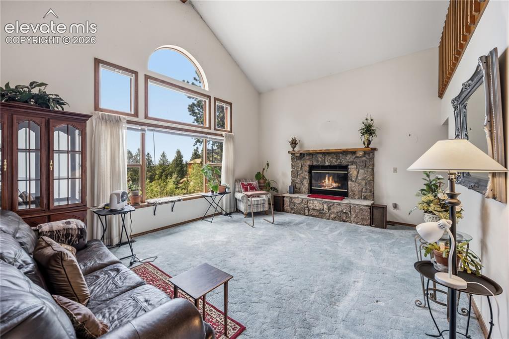 1241 Forest Edge Road Woodland Park CO 80863
