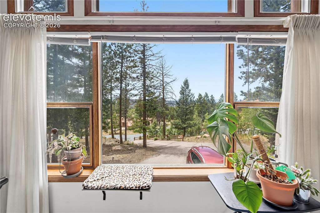 1241 Forest Edge Road Woodland Park CO 80863