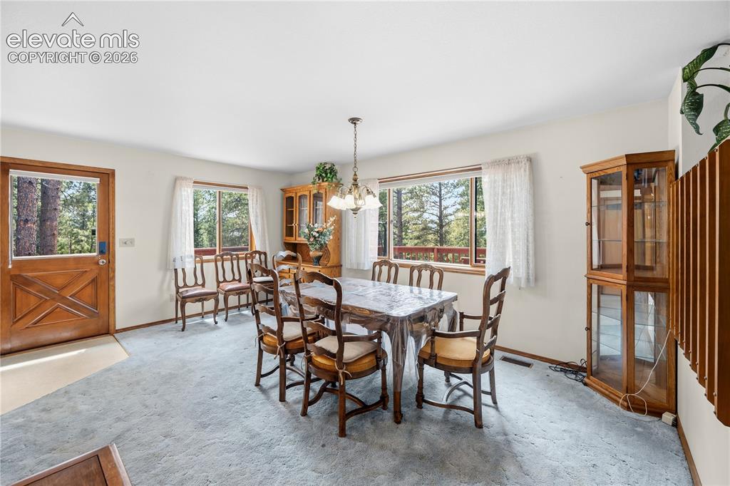 1241 Forest Edge Road Woodland Park CO 80863