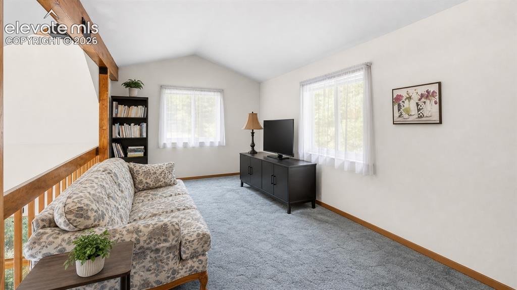 1241 Forest Edge Road Woodland Park CO 80863