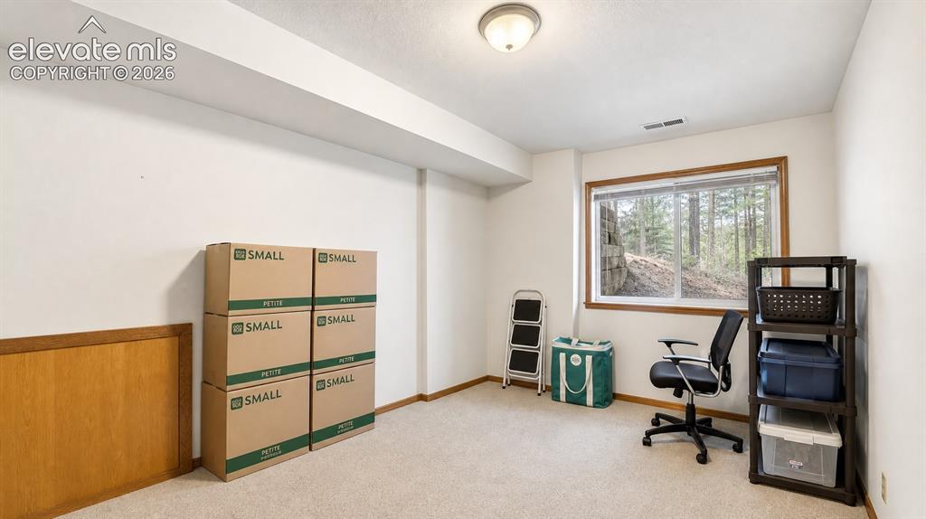 1241 Forest Edge Road Woodland Park CO 80863