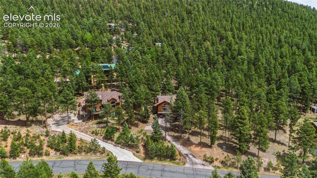 1241 Forest Edge Road Woodland Park CO 80863