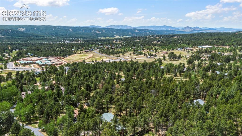 1241 Forest Edge Road Woodland Park CO 80863