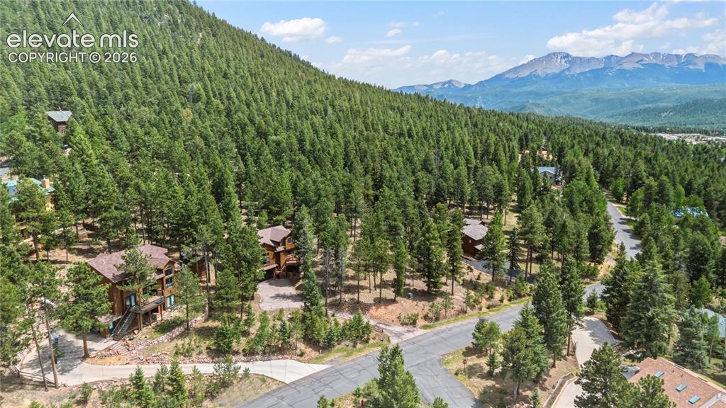 1241 Forest Edge Road Woodland Park CO 80863
