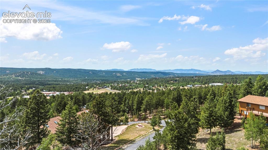 1241 Forest Edge Road Woodland Park CO 80863
