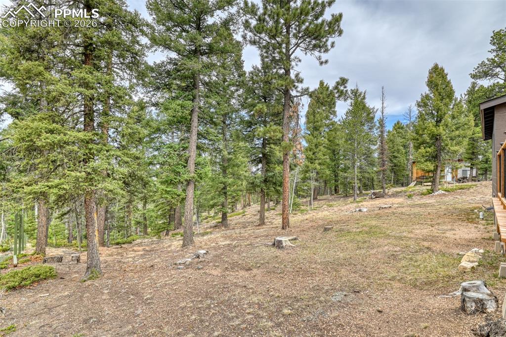 1275 Blossom Road Woodland Park CO 80863