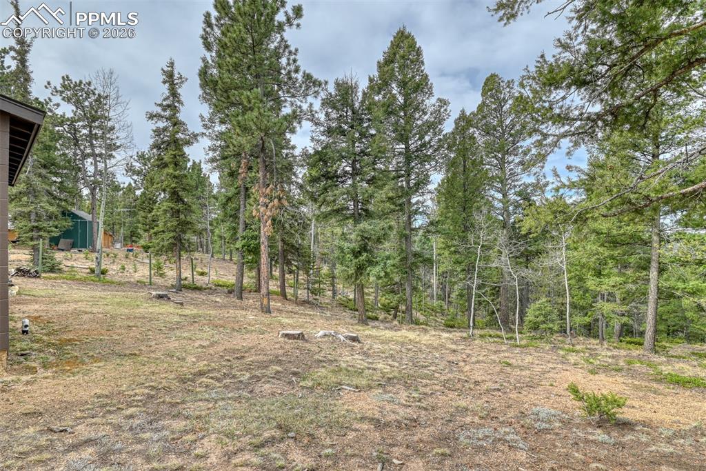 1275 Blossom Road Woodland Park CO 80863