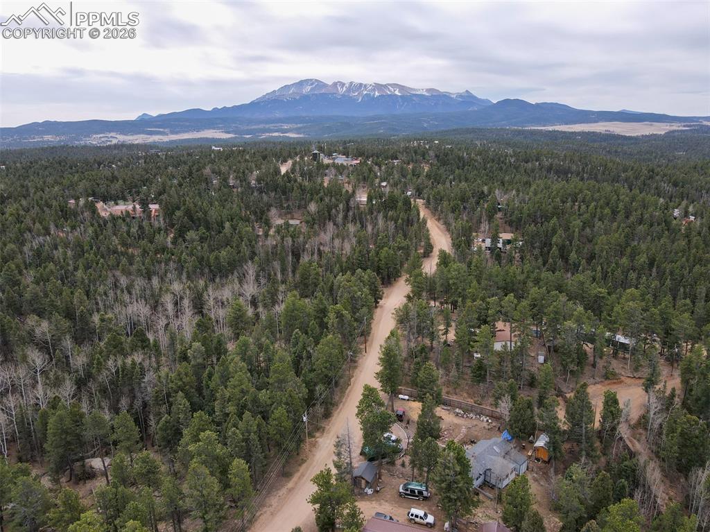 1275 Blossom Road Woodland Park CO 80863
