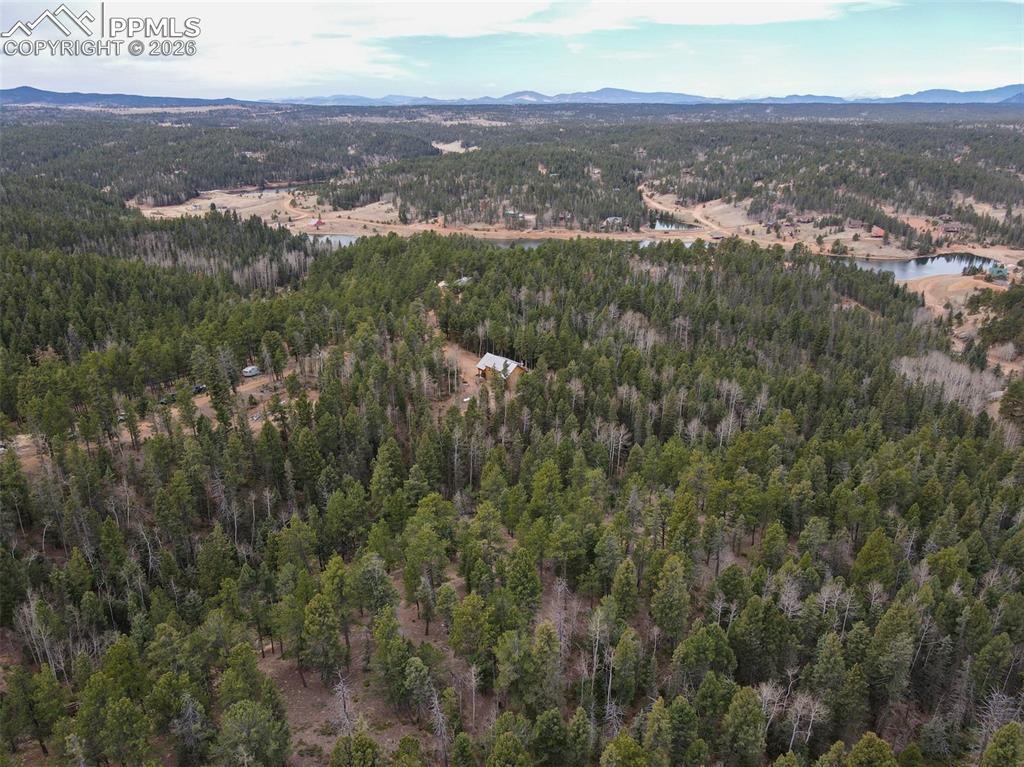 1275 Blossom Road Woodland Park CO 80863