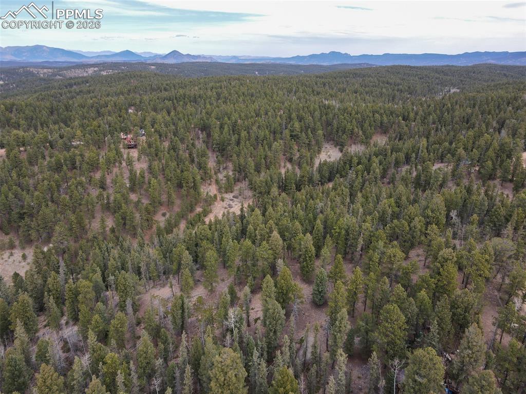 1275 Blossom Road Woodland Park CO 80863