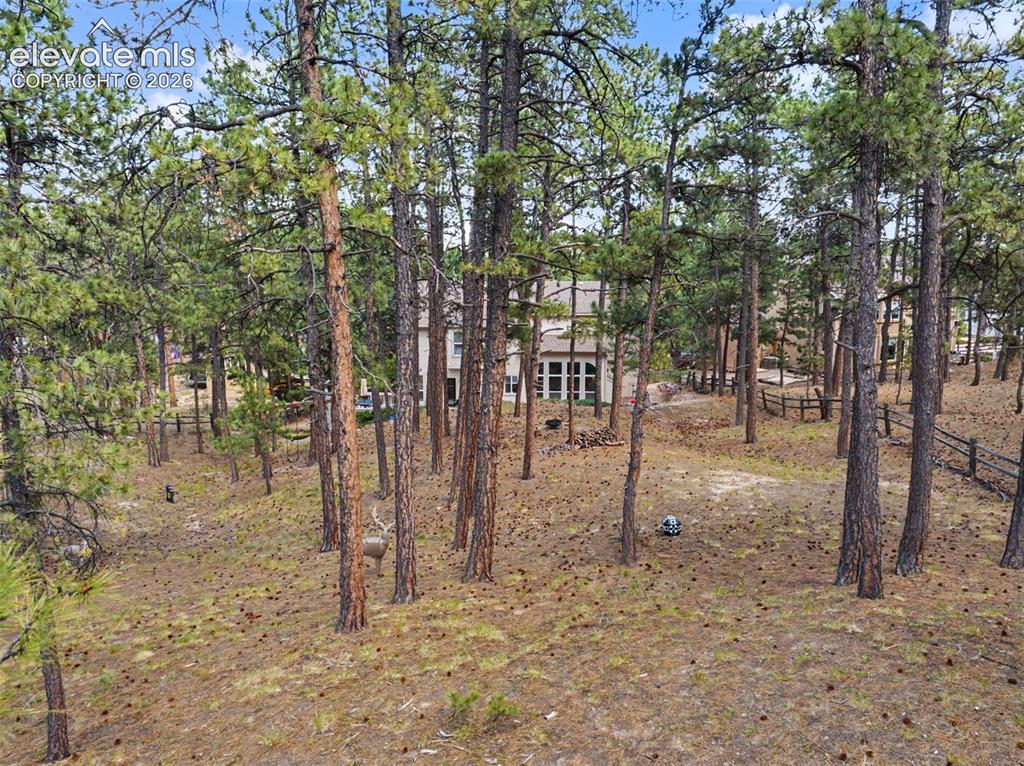 1360 Pawprint Court Colorado Springs CO 80921