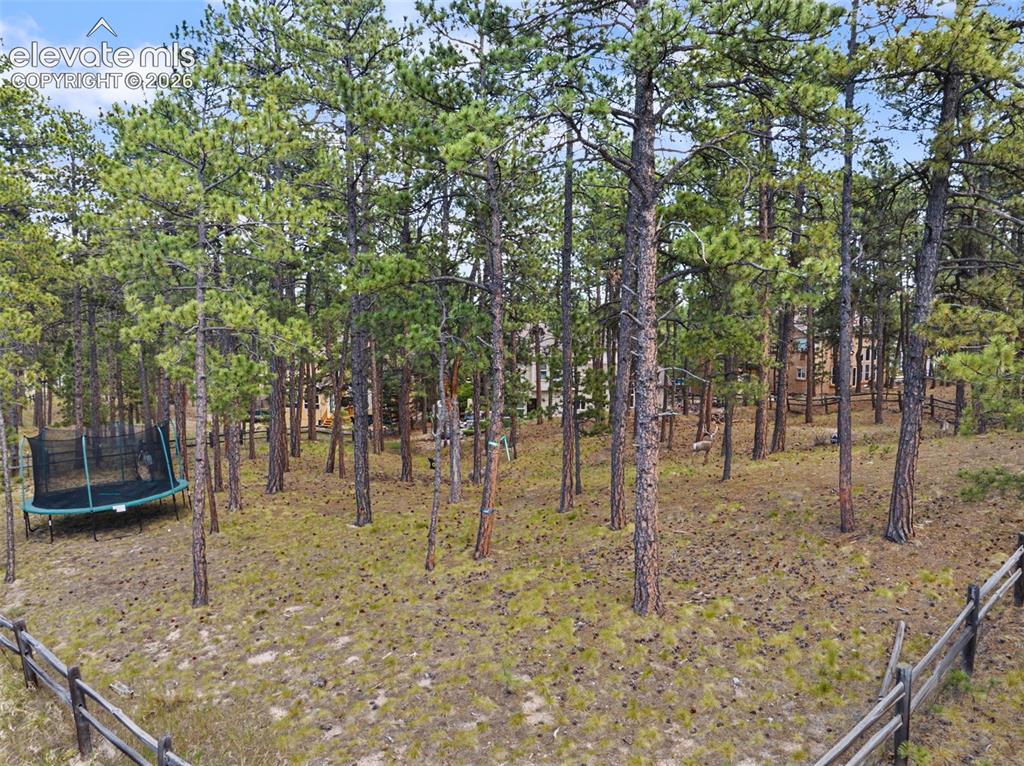 1360 Pawprint Court Colorado Springs CO 80921