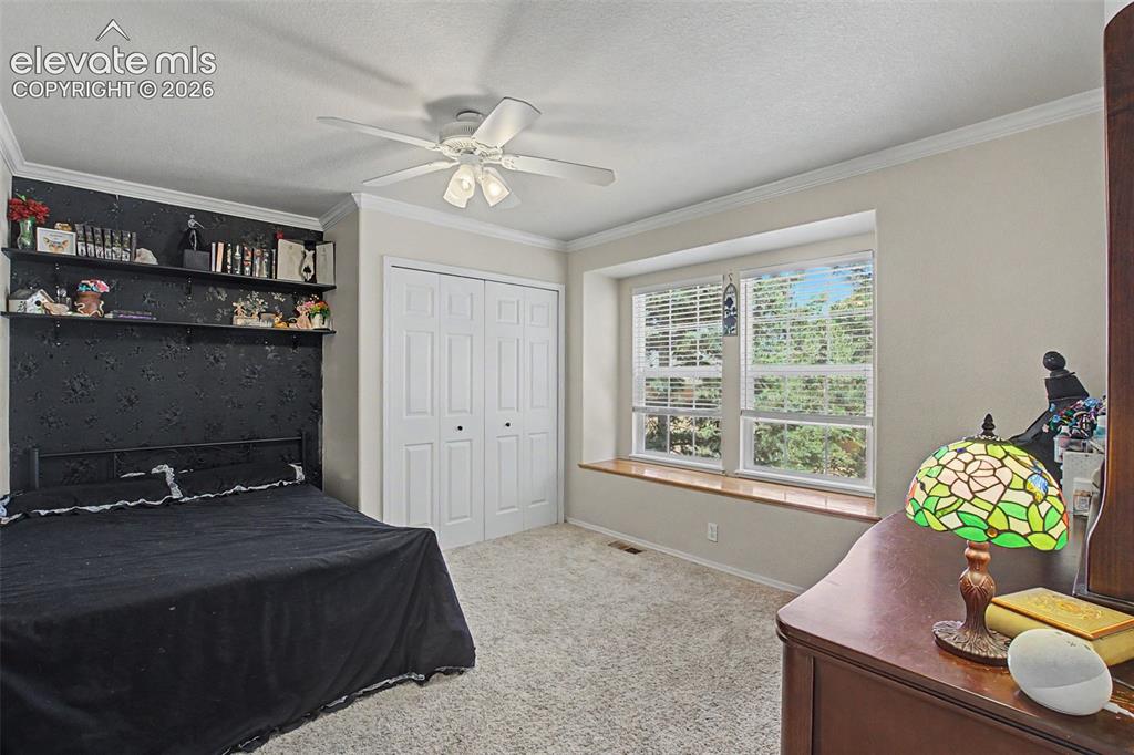 1360 Pawprint Court Colorado Springs CO 80921