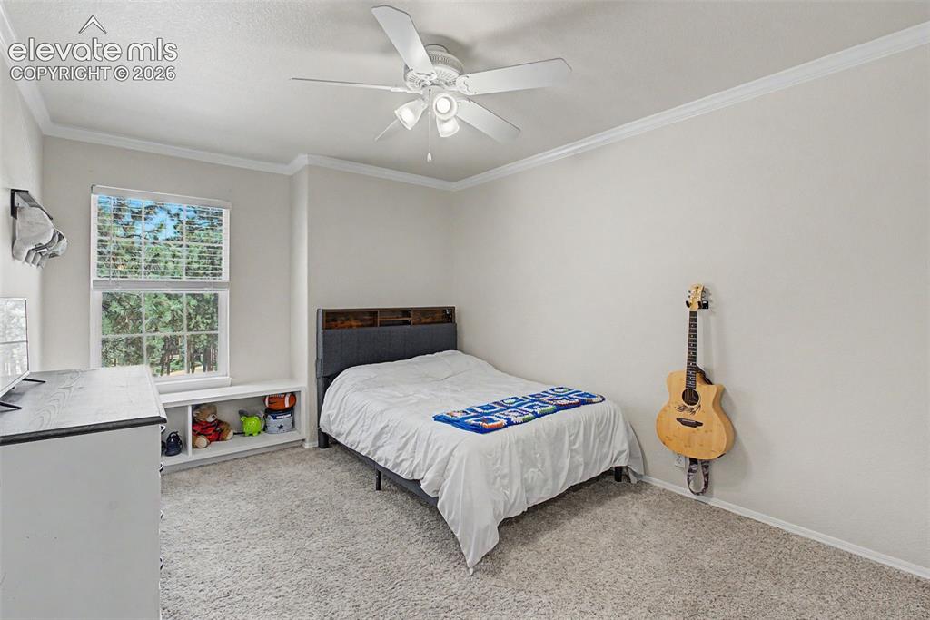 1360 Pawprint Court Colorado Springs CO 80921