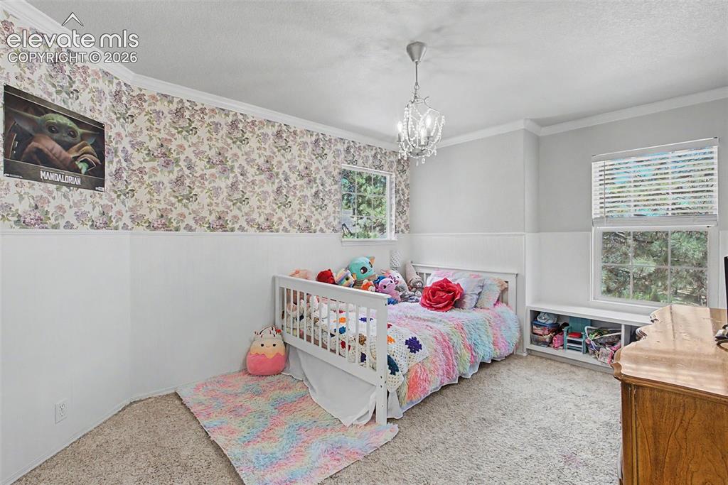 1360 Pawprint Court Colorado Springs CO 80921