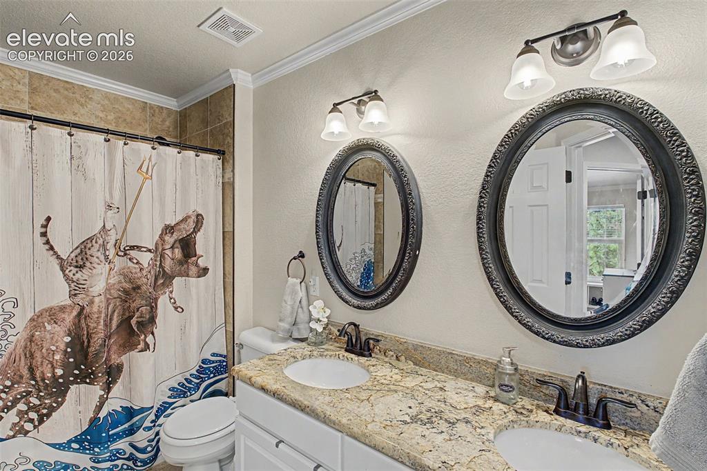 1360 Pawprint Court Colorado Springs CO 80921