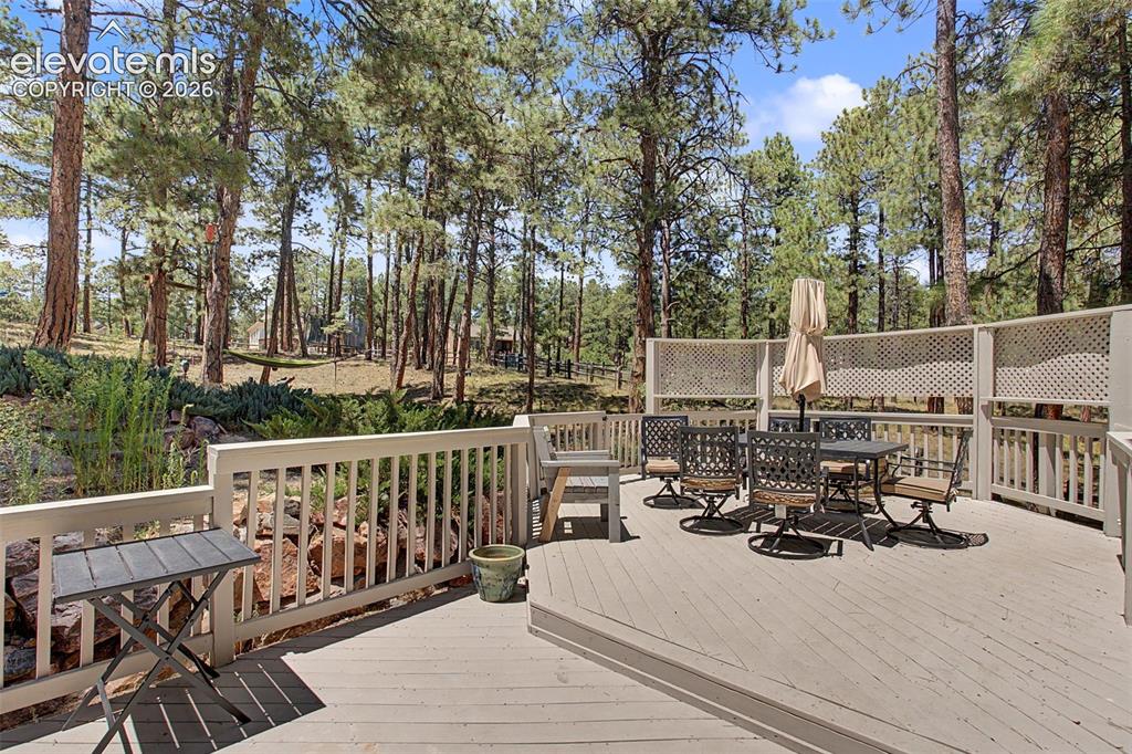 1360 Pawprint Court Colorado Springs CO 80921