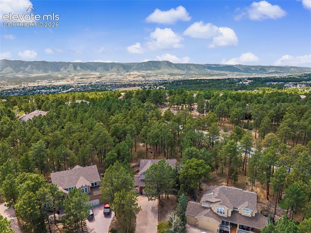 1360 Pawprint Court Colorado Springs CO 80921