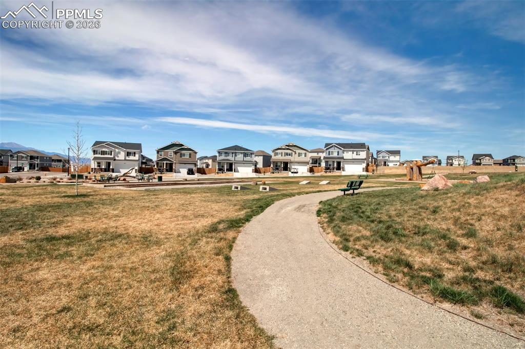 6133 Alpine Ridge Drive Colorado Springs CO 80925
