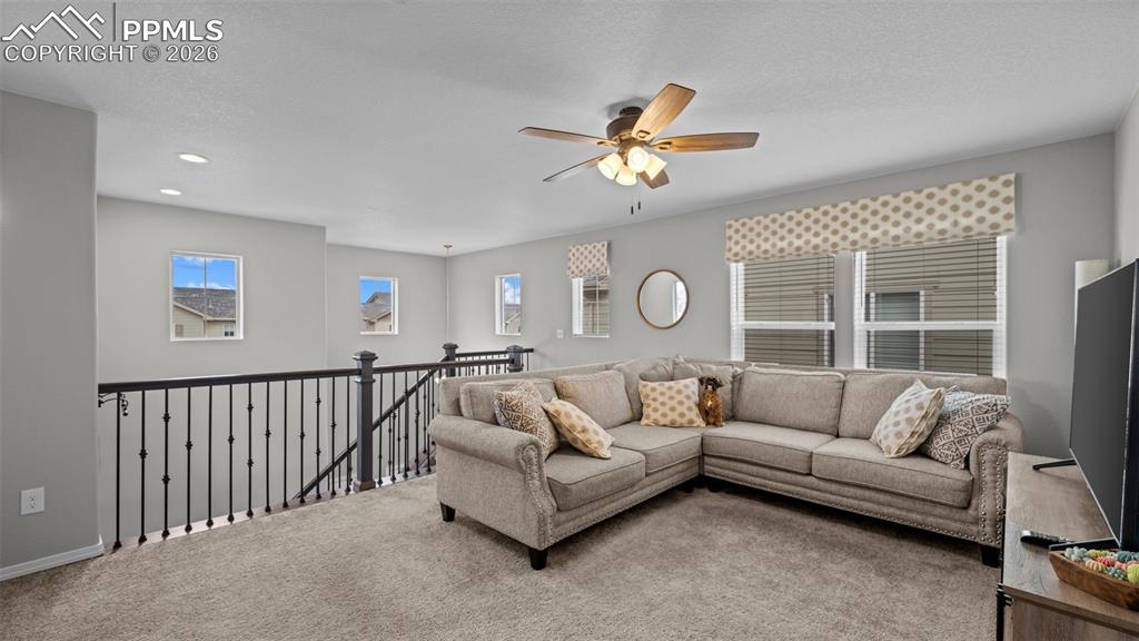 3786 Vineyard Circle Colorado Springs CO 80922