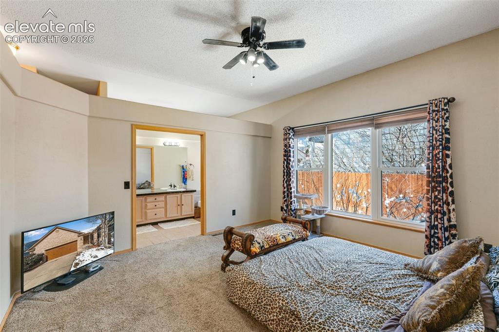 670 Fernglen Court Colorado Springs CO 80906