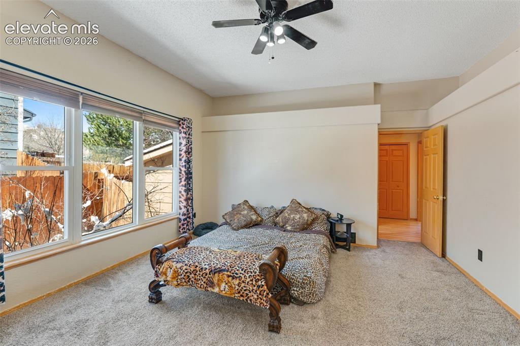 670 Fernglen Court Colorado Springs CO 80906