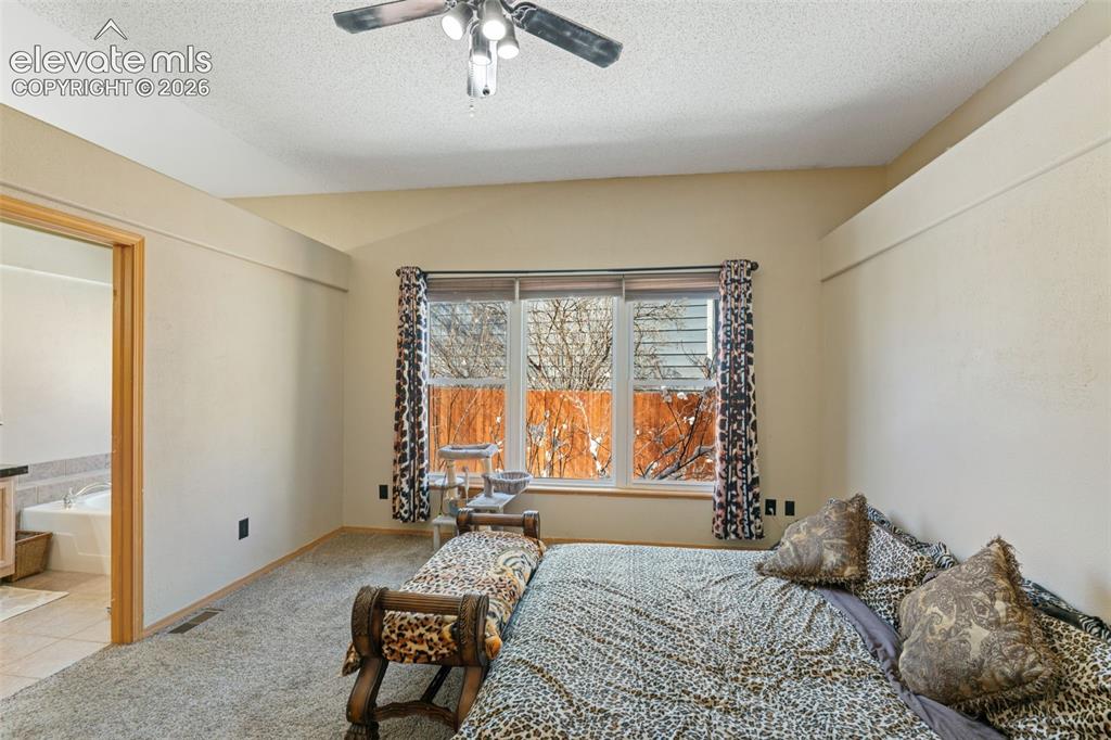 670 Fernglen Court Colorado Springs CO 80906