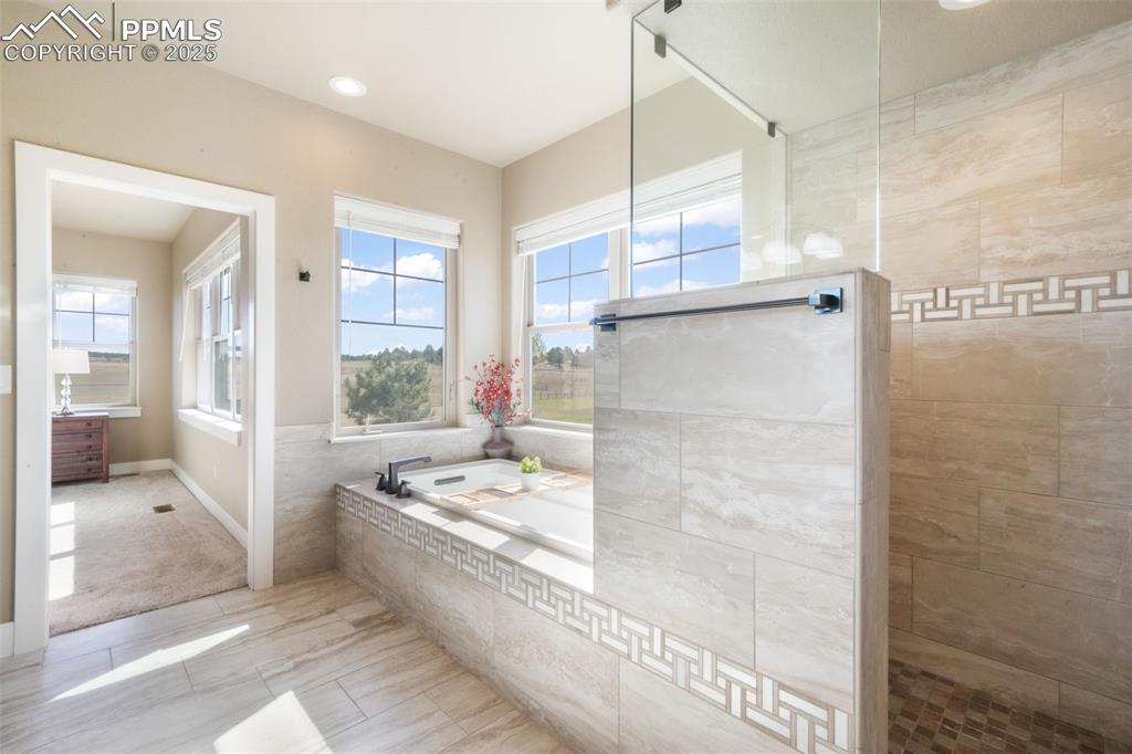 18561 Cherry Springs Ranch Drive Monument CO 80132