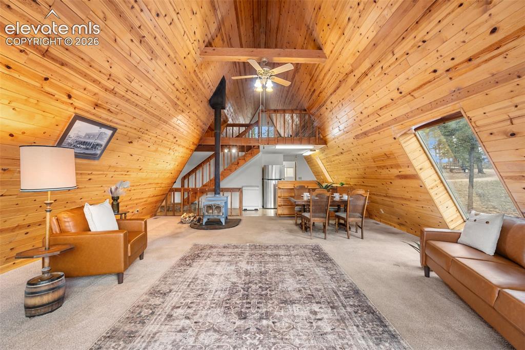 873 Trail Creek Road Lake George CO 80827