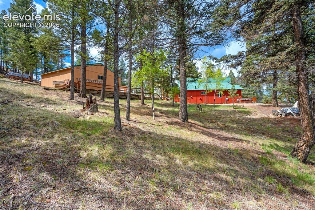 873 Trail Creek Road Lake George CO 80827