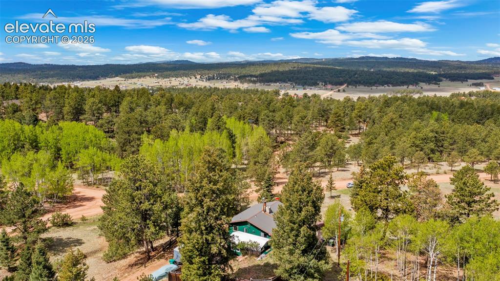 82 S Mountain Estates Road Florissant CO 80816
