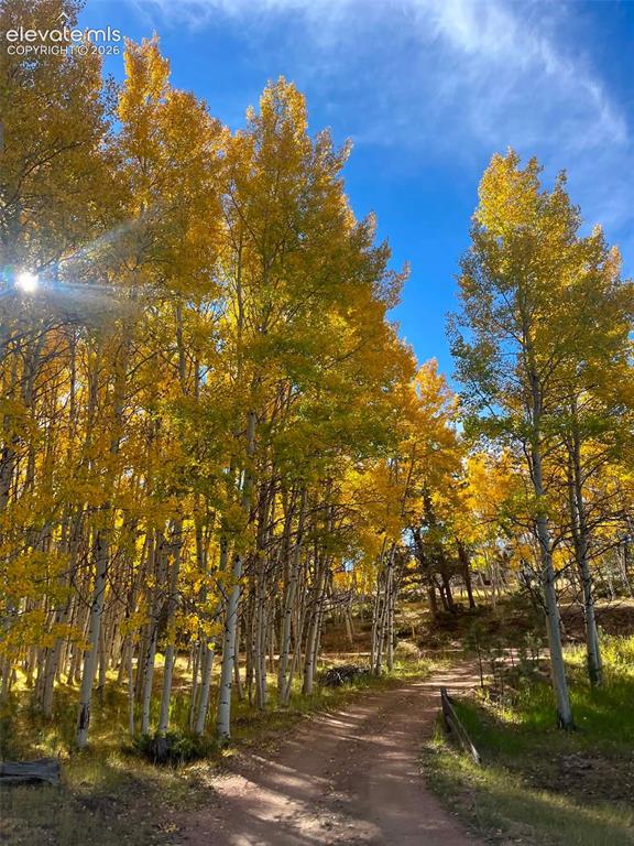 82 S Mountain Estates Road Florissant CO 80816